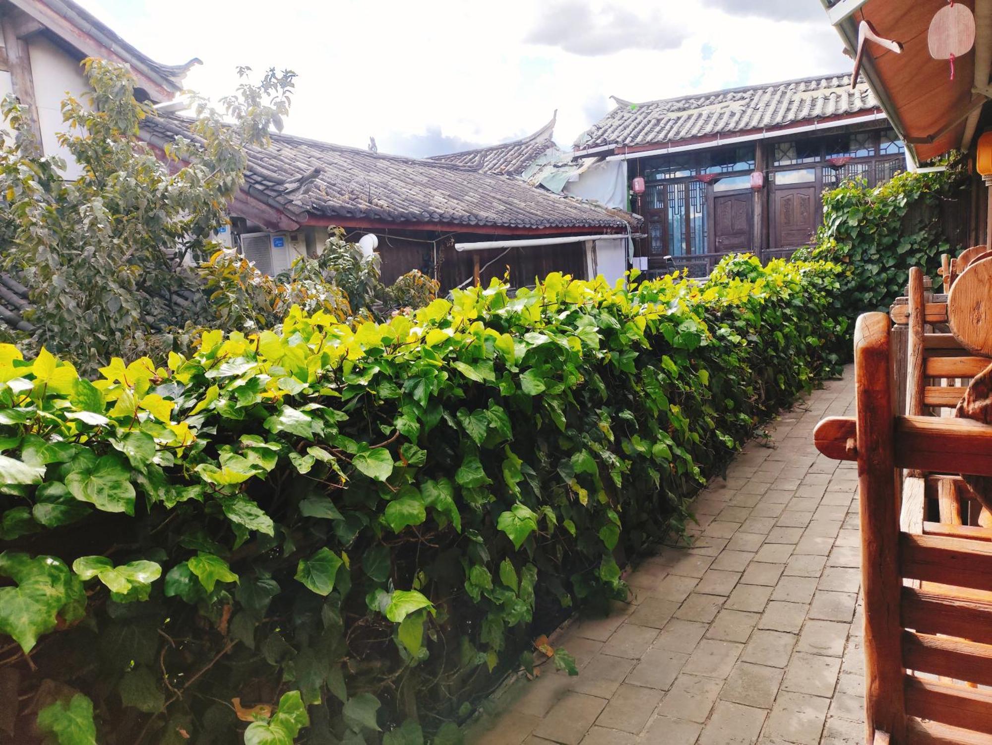 Big Tree Guesthouse - Naxi Old Style Lệ Giang Ngoại thất bức ảnh