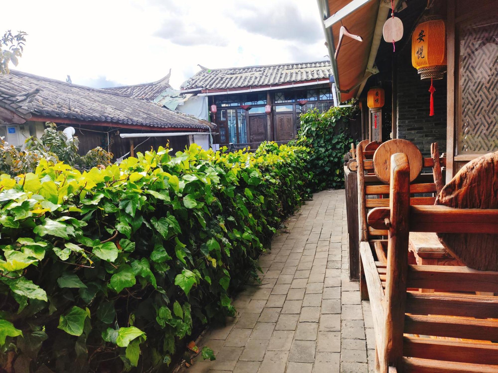 Big Tree Guesthouse - Naxi Old Style Lệ Giang Ngoại thất bức ảnh